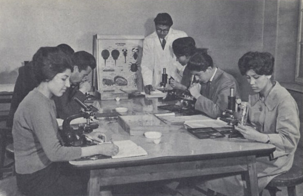 Women study at microscopes in a biology class at Kabul University in the 1950s