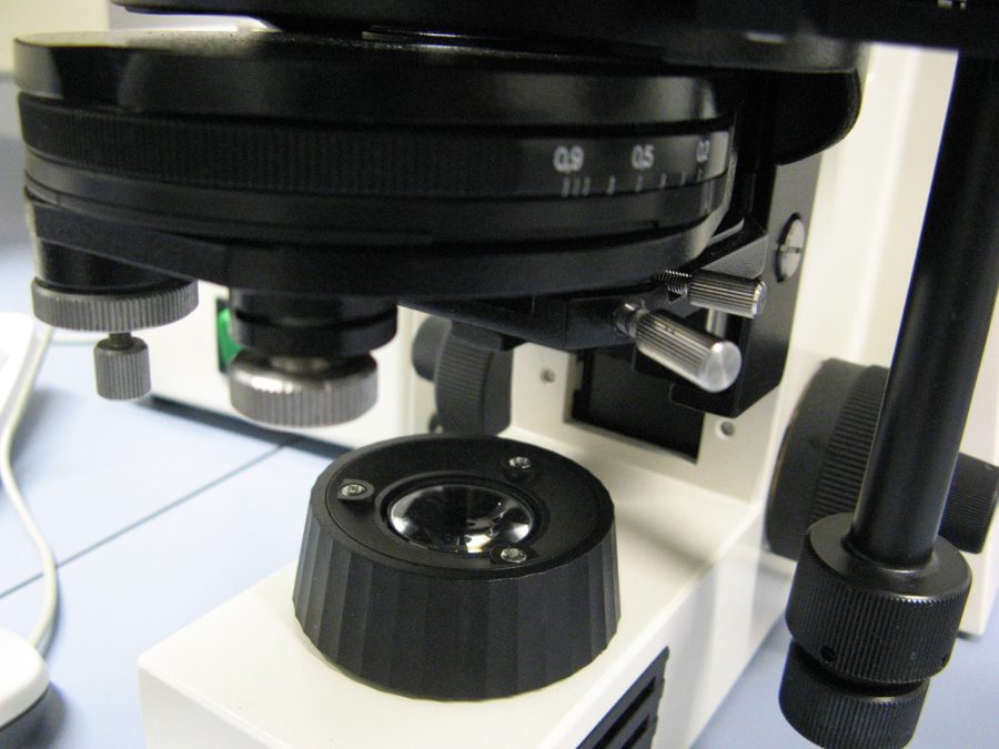 the microscope